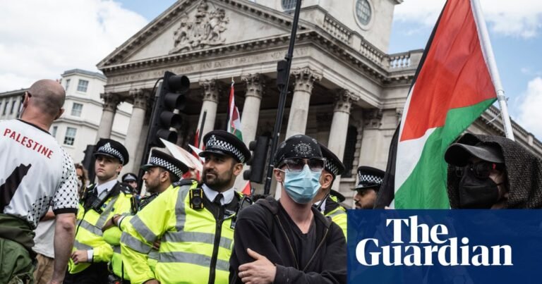 Ban on Palestine Action would have ‘chilling effect’ on other protest groups | Protest