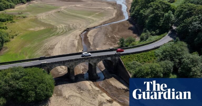 How England’s outdated water tracking system leaves regulators in the dark | Water