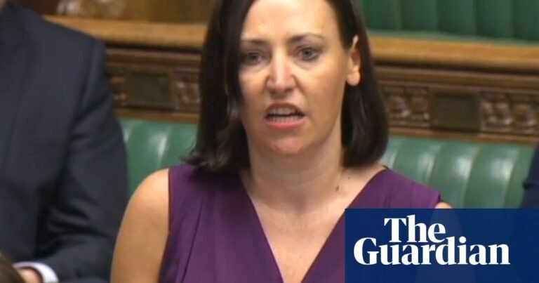 Labour MP resigns as government whip in protest at benefit cuts | Welfare
