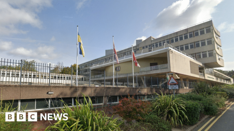 Reform council told to reconsider 'grey areas' in flag policy