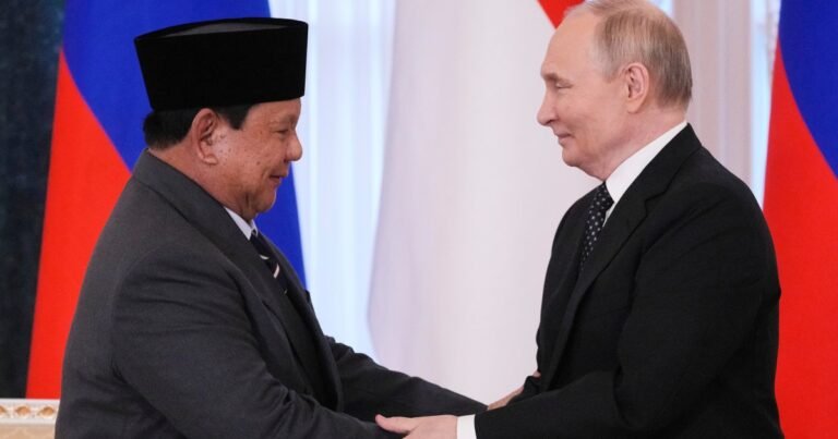 Russia, Indonesia deepen ties as Putin and Prabowo meet in St Petersburg | International Trade News