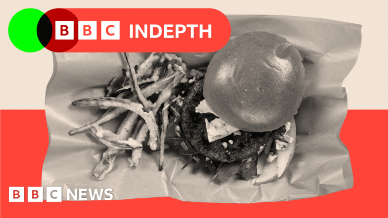 Should this lab-grown burger really be served in restaurants?