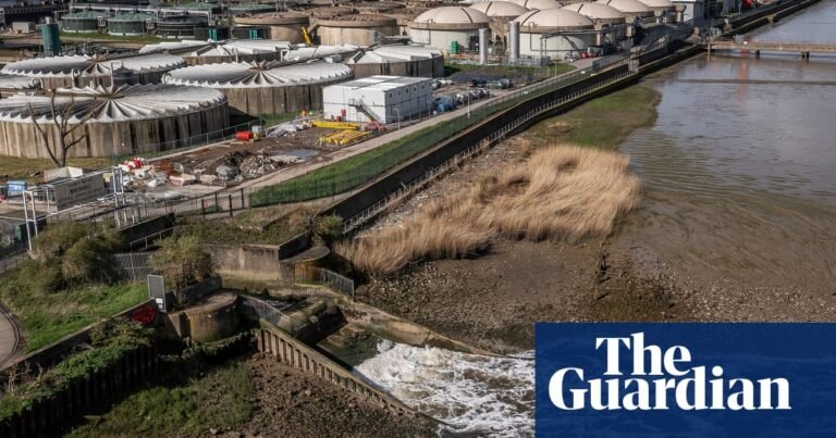 Thames Water renationalisation plans being stepped up, says minister | Thames Water