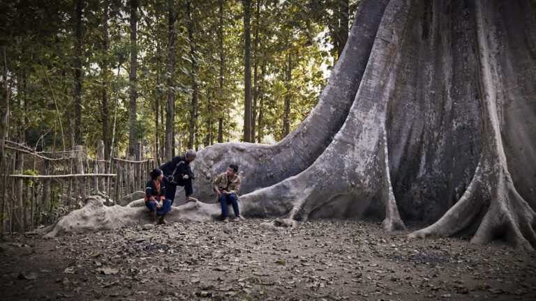 The Guardian of Stories Brings Folktales to Life