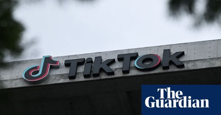 ‘It’s thieving’: impersonators steal elderly people’s TikToks to hawk mass-produced goods | TikTok