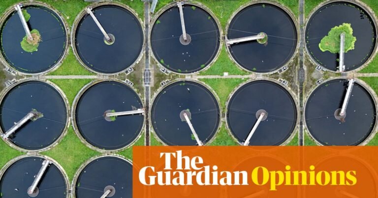Cunliffe’s reforms for water should have happened 20 years ago | Nils Pratley
