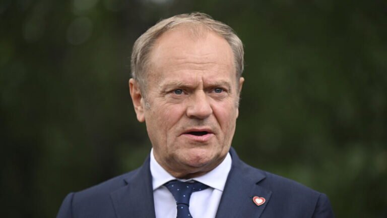 Poland reinstates border controls with Germany, Lithuania to curb illegal migration