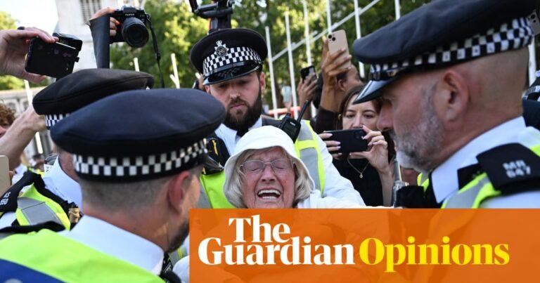 Anger, fear and a total rejection of politics: the Palestine Action protest was a snapshot of Britain today | Andy Beckett