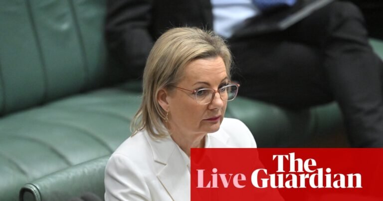 Australia news live: Ley says Coalition would not have ‘gone anywhere near’ recognising Palestine; Allan quizzed on Snoop Dogg | Australia news
