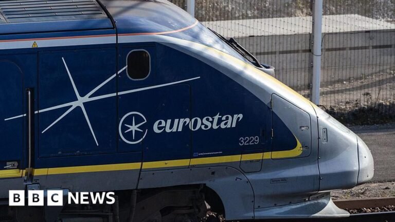 Eurostar services face delays and cancellations due to French rail issue