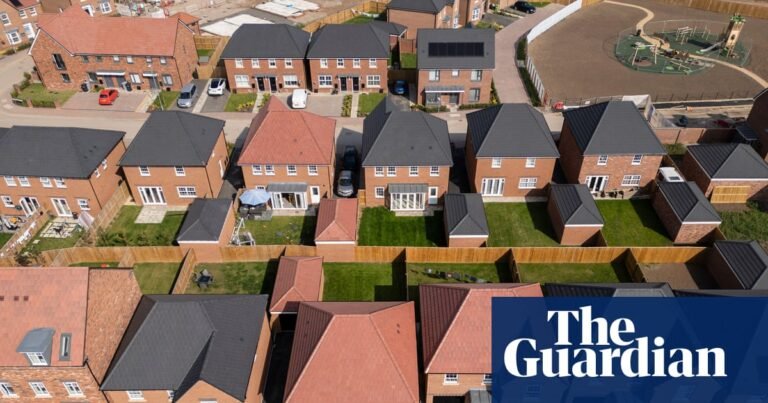It’s not just about building houses – communities need infrastructure to grow | Housing