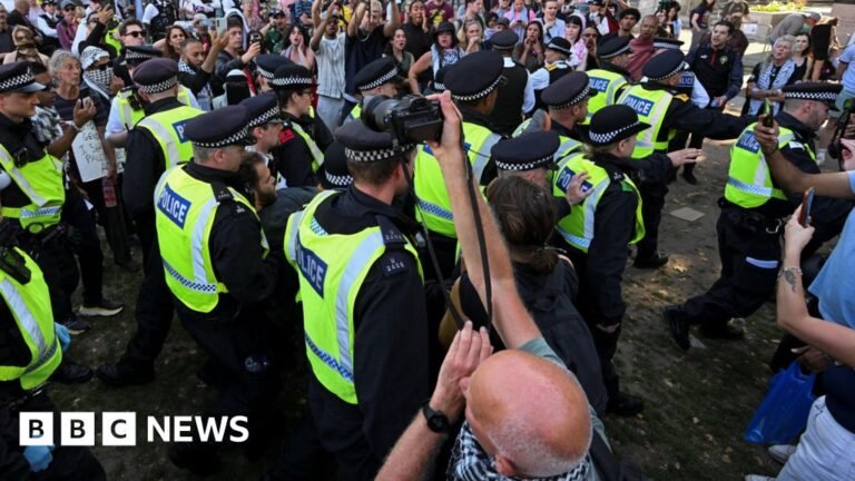 Some 'don't know the full nature' of Palestine Action